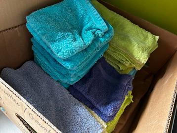 Lot gants de toilette et petites serviettes 