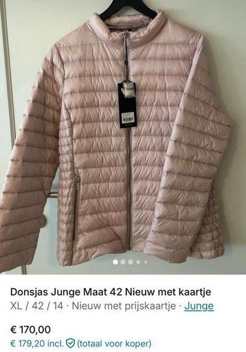 Donsjas junge beschikbaar voor biedingen