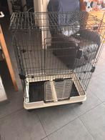 Fret kot, Dieren en Toebehoren, Ophalen, Kooi, Cavia