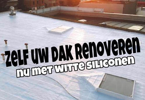 WITTE Vloeibare Dakafdichting Caravan-Camper v.a€14,50 p/l e, Doe-het-zelf en Bouw, Dakpannen en Dakbedekking, Nieuw, Overige typen