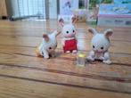 Sylvanian families, Kinderen en Baby's, Ophalen of Verzenden
