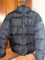 Tommy hilfigher, Kleding | Heren, Jassen | Winter, Zwart, Ophalen of Verzenden, Zo goed als nieuw, Tommy hilfiger