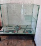 Aquarium met strand om uit te rusten, Dieren en Toebehoren, Reptielen en Amfibieën | Toebehoren, Ophalen, Zo goed als nieuw