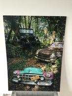 PRINT OP HARDBOARD, Ophalen of Verzenden, Zo goed als nieuw, Auto's