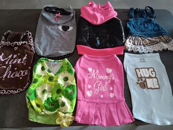 Pakket mooie hondenkleding - 7 mooie stuks beschikbaar voor biedingen
