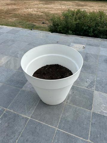 Bloempot xl beschikbaar voor biedingen