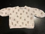 Trui Zara 9-12 maand, Kinderen en Baby's, Babykleding | Maat 80, Ophalen of Verzenden, Zo goed als nieuw, Zara, Truitje of Vestje