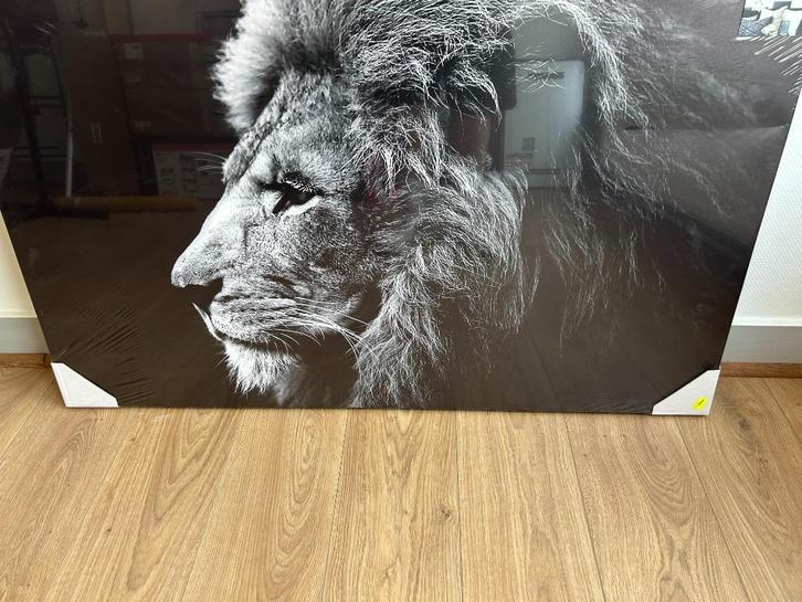 Toile imprimee lion, Antiquités & Art, Art | Peinture | Classique, Enlèvement