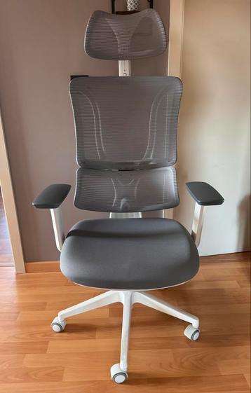 Bureaustoel ergonomisch, Enlèvement, Ergonomique, Gris, Chaise de bureau