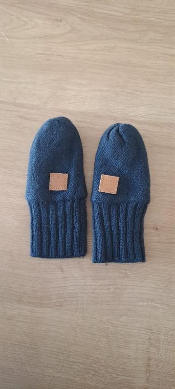Blauwe Baby wanten beschikbaar voor biedingen