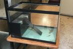 aquarium tortue, Animaux & Accessoires, Poissons | Aquariums & Accessoires, Enlèvement, Neuf, Aquarium vide