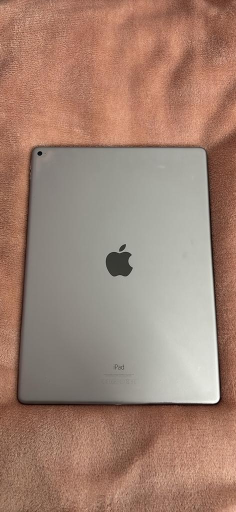 2015 12,9 inch grijze iPad pro, Computers en Software, Apple iPads, Gebruikt, Apple iPad Pro, Wi-Fi, 12 inch, 128 GB, Grijs, Ophalen of Verzenden