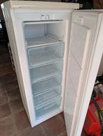 Frigibel diepvries, Elektronische apparatuur, Vriezers en Diepvrieskisten, Ophalen, Gebruikt