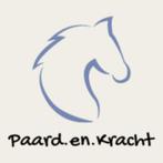 Brave pony/paard gezocht., Dieren en Toebehoren, Paarden, Minder dan 160 cm, Recreatiepaard, 11 jaar of ouder