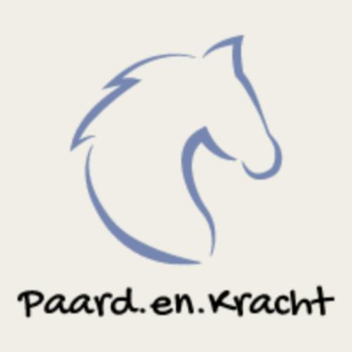 Brave pony/paard gezocht., Dieren en Toebehoren, Paarden, Minder dan 160 cm, 11 jaar of ouder, Recreatiepaard