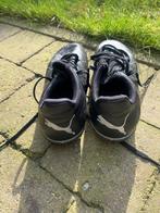 Chaussures Puma neuves, pointure 37, Enlèvement, Neuf