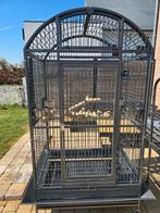 Cage pour perroquet, Animaux & Accessoires, Oiseaux | Cages & Volières, Enlèvement, Comme neuf, Bois