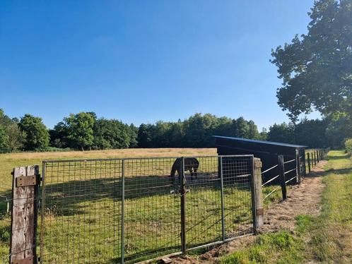 Weide te koop., Dieren en Toebehoren, Stalling en Weidegang