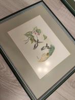 Aquarel schilderij, Antiek en Kunst, Ophalen