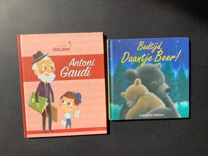 Gaudi en bedtijd Daantje Beer, Boeken, Kinderboeken | Jeugd | 10 tot 12 jaar, Nieuw, Non-fictie, Ophalen of Verzenden