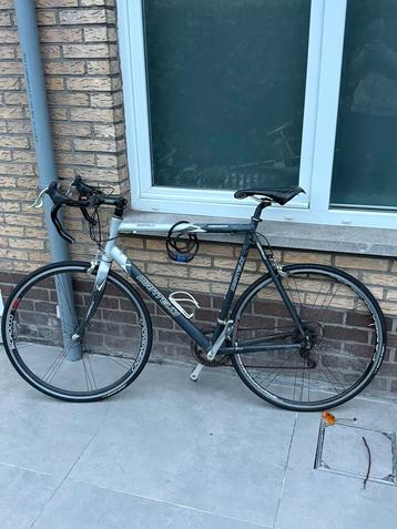 Racefiets MARKTELLY beschikbaar voor biedingen