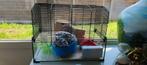 hamster / egel hok met toebehoren, Dieren en Toebehoren, Ophalen, Zo goed als nieuw, Hok, Hamster