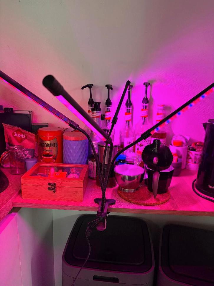 Set groeilampen, Tuin en Terras, Kweekspullen, Gebruikt, Kweeklamp, Ophalen