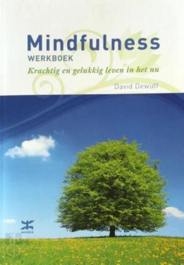 boek: Mindfulness, werkboek - David Dewulf