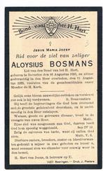 Bp. Bosmans Aloysius. ° Beverloo 1910 † Beverloo 1929, Verzamelen, Bidprentjes en Rouwkaarten, Ophalen of Verzenden, Bidprentje