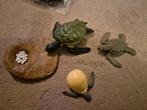 Plastieken dieren zeeschildpad, Ophalen of Verzenden