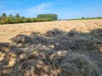 Hooi kleine balen, Dieren en Toebehoren, Dierenvoeding, Ophalen