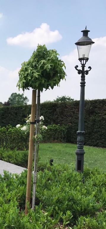 Prachtige antieke Victoriaanse lantaarns beschikbaar voor biedingen