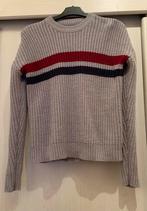 Trui Twintip, Kleding | Dames, Ophalen of Verzenden, Gedragen, Maat 38/40 (M), Grijs