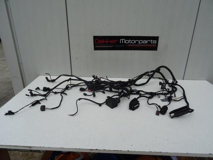 Kabelboom Compleet BMW F650GS 2008-2009-2010-2011-2012, Motoren, Onderdelen | BMW, Gebruikt, Ophalen of Verzenden