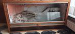 Terrarium, Animaux & Accessoires, Reptiles & Amphibiens | Accessoires, Enlèvement, Utilisé