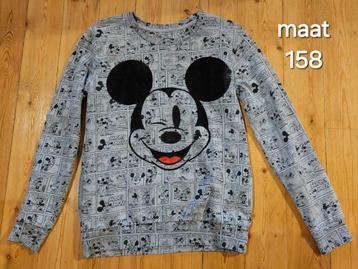 Sweater Disney maat 158 beschikbaar voor biedingen