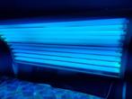 auvent de bain de soleil avec chaise longue et oreiller, Electroménager, Solarium, Banc solaire & Bronzage facial, Enlèvement