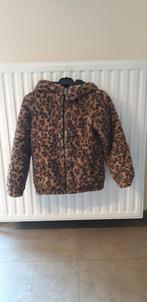 Meisjes jas 146, Ophalen, Jas