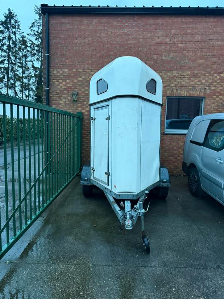 Paarden trailer te huur, Animaux & Accessoires, Chevaux & Poneys | Semi-remorques & Remorques, Comme neuf, Remorque 1 cheval, Polyester