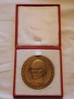 Polish Bronze Penning, Verzamelen, Militaria | Tweede Wereldoorlog, Ophalen of Verzenden, Landmacht, Lintje, Medaille of Wings