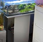 Armoire pour aquarium, Enlèvement, Comme neuf