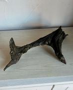 Aquarium hout, Ophalen of Verzenden, Gebruikt, Plant(en), Steen of Hout