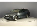 Skoda Octavia Combi 1.0TSI eTec 110pk DSG Ambition, Automaat, 5 deurs, Zilver of Grijs, Parkeersensor