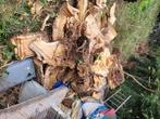 Gratis hout treurwilg, Minder dan 3 m³, Ophalen of Verzenden, Overige houtsoorten, Stammen