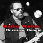 Diverse "Blues Artiesten" gebrande cd's dus zonder covers ma, Cd's en Dvd's, Cd's | Jazz en Blues, Ophalen, 1980 tot heden, Zo goed als nieuw