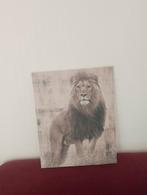 Kleurrijke kaders, Antiek en Kunst, Kunst | Tekeningen en Fotografie, Ophalen of Verzenden