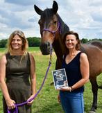 Komt een paard in de boardroom - Annemieken Van Reepingen, Ophalen of Verzenden, Zo goed als nieuw, Nadja Talpaert
