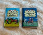 Boeken van ponyclub, Boeken, Kinderboeken | Jeugd | 10 tot 12 jaar, Ophalen of Verzenden, Zo goed als nieuw, Non-fictie