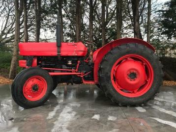 Tractor Massey Ferguson 135 beschikbaar voor biedingen