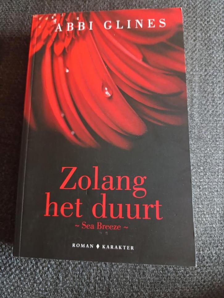 Abbi Glines - Zo lang het duurt, Boeken, Literatuur, Zo goed als nieuw, Ophalen of Verzenden